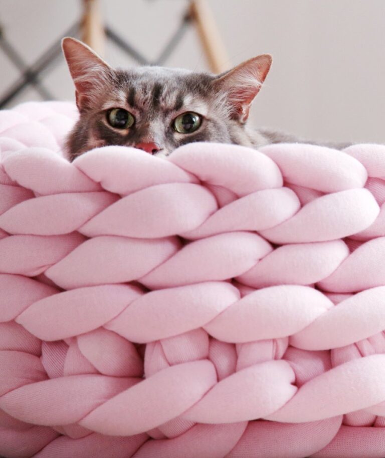 Marshmallow Twist Pet Bed