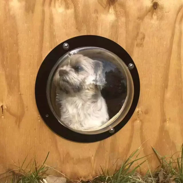 Dog Fence Peek A Boo Acrylic Bubble Window